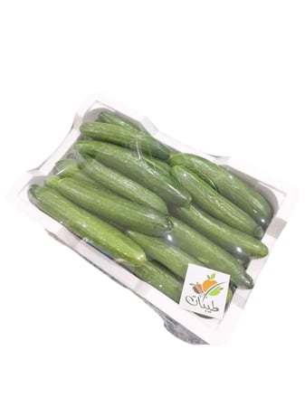 صندوق خيار -4كيلو