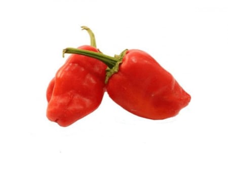 فلفل نعجان احمر -نص كيلو