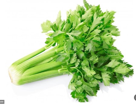 كرفس واحد ربطة