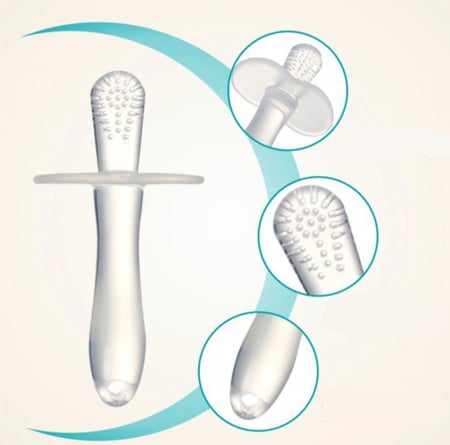 عصا وعضاضة التسنين