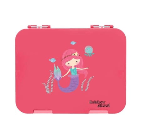 صندوق طعام ٤-٦ أقسام