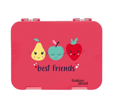 صندوق طعام ٤-٦ أقسام