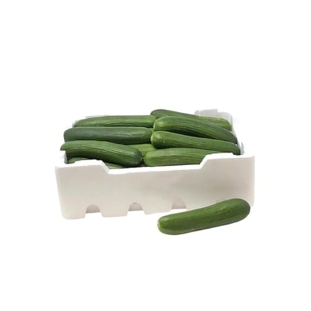 خيار فلين كبير