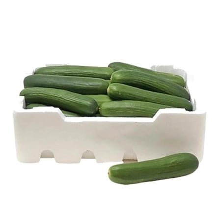 خيار فلين كبير