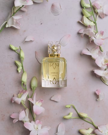 بكج الفخامة