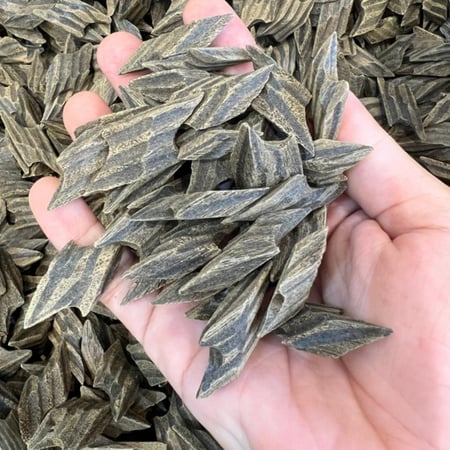 عود تايجر كمبودي سعر جملة