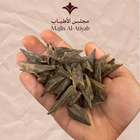 عود موري هندي مستزرع