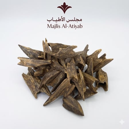 عود موري هندي مستزرع