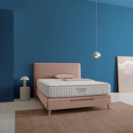 مرتبة اسينزيا ادفانس