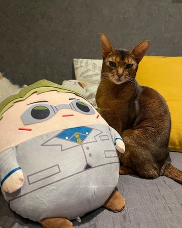 دمية محشوة جوجيتسو كايسن غوجو ساتورو الحجم الكبير | jujutsu kaisen gojo plushie