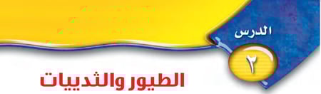 عرض ابداعي كامل درس الطيور والثديات علوم أول متوسط الفصل الدراسي الثالث