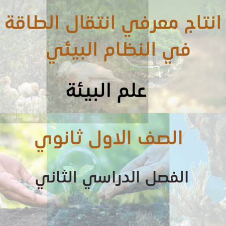 انتاج معرفي علم البيئة انتقال الطاقة في النظام البيئي الصف الاول ثانوي الفصل الدراسي الثاني