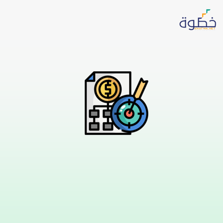 أدوات التخطيط والرقابة المالية