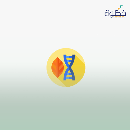 طريق العلاج بالسوجوك
