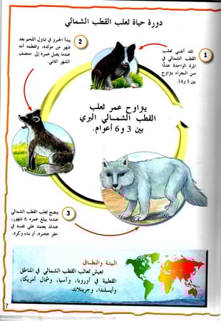 موسوعة الحيوانات - الحيوانات الجليدية