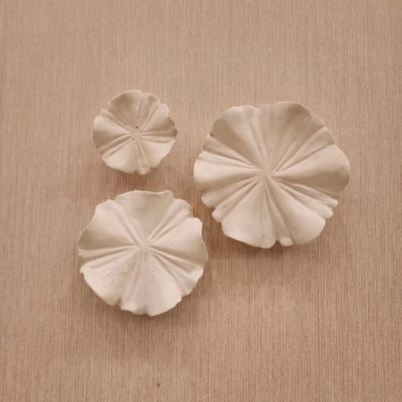 زهرة الربيع  40  حبه