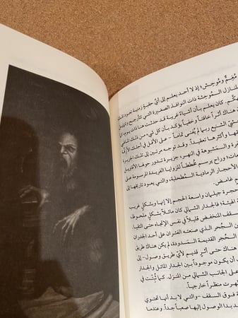 الأحلام في منزل الساحرة