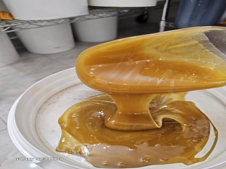 كيلو عسل سدر العقيق بلدي