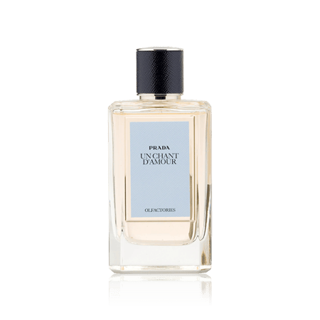 عطر برادا أون شانت دامور أو دو برفيوم 100 مل - افانتي للعطور