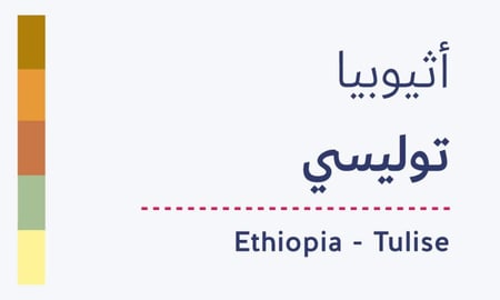 قهوة اثيوبيا توليسي