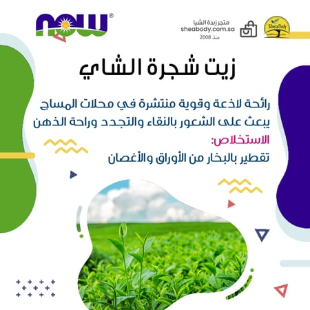 معلومات زيت شجرة الشاي