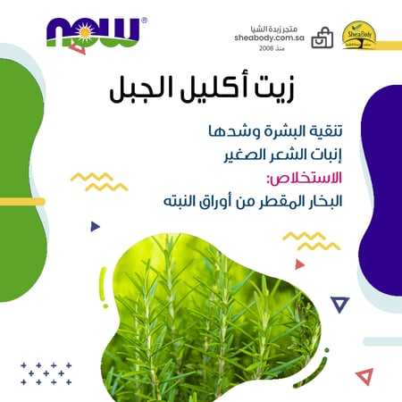 معلومات زيت اكليل الجبل