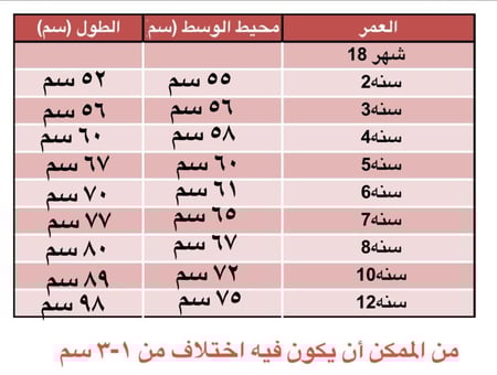 بستان الربيع