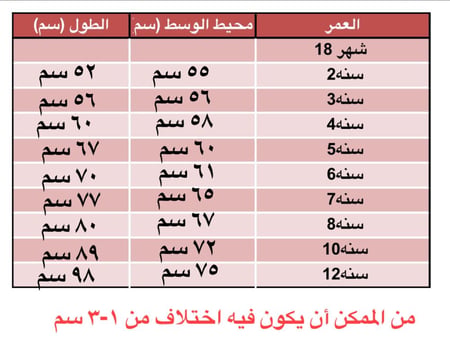بستان الربيع فستان مع جكيت