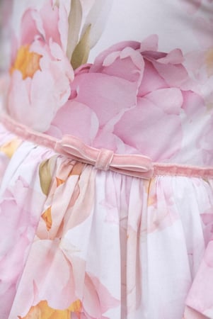 زهور الربيع