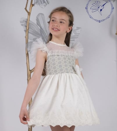 فستان الدانتيل الراقي