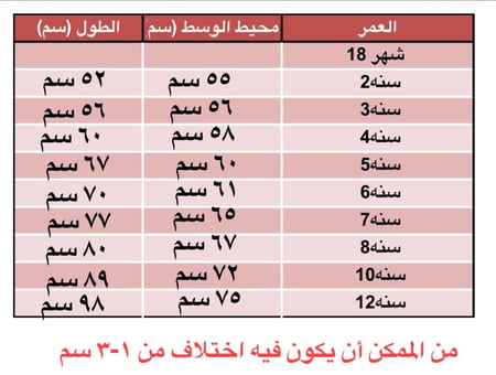 فستان لوليتا