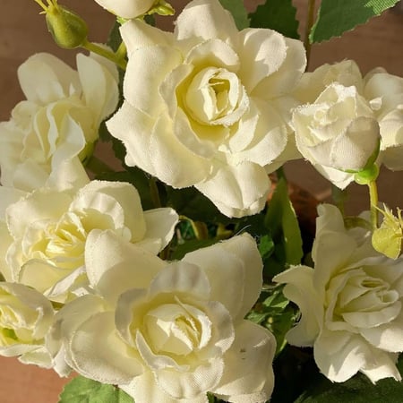 مركن مع زرع صناعي نباتات وشجر صناعي مركن سيراميك ترتيب وتجديد ديكور