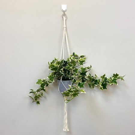 مكرمية حبل ومركن زرع صناعي