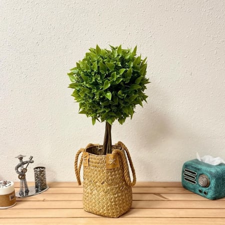 قفة قش شنط وسلل وصناديق ديكورات المنزل قفف بيج قش ديكور ريفي