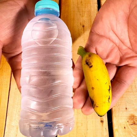 ميني موز استوائي