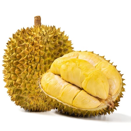 دوريان