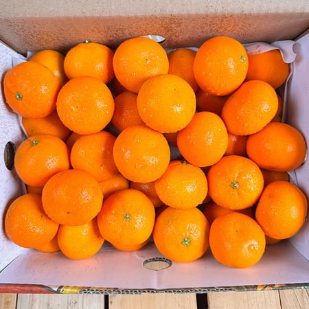 ميني مندرين سوبر سكري