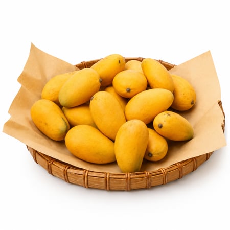 منجا فص