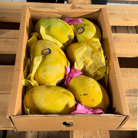 كرتون مانجو جونسا