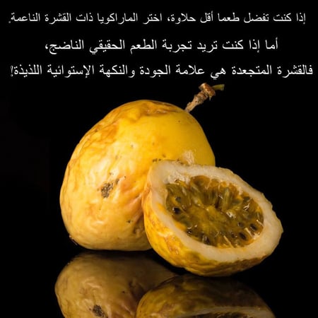 ماراكوجا