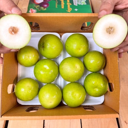 نبق تفاحي سكري