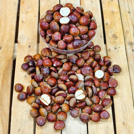 كستناء تركي فاخرة