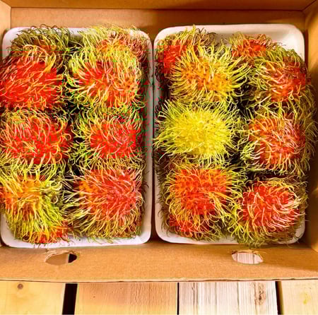 كرتون رامبوتان