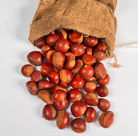 كستناء سوبر فاخرة