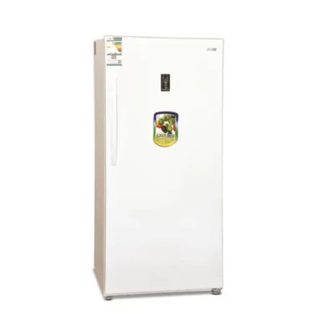 فريزر بيسك دولالي 13.8 قدم