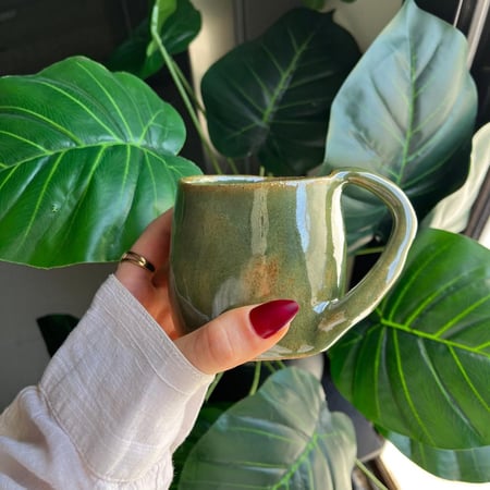 كوب القطة ليلي وصديقها ليو