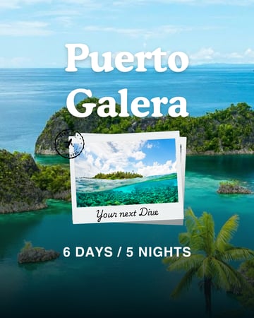 رحلة غوص  - الفلبين - بورتوقليرا