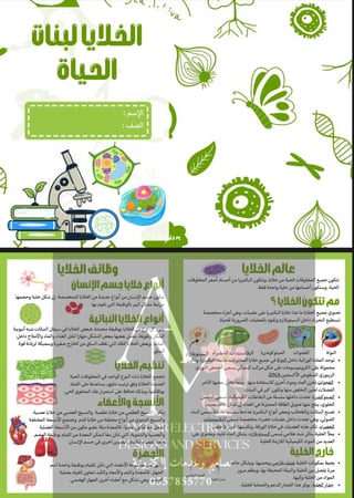 مطوية الخلايا لبنات الحياة اول متوسط