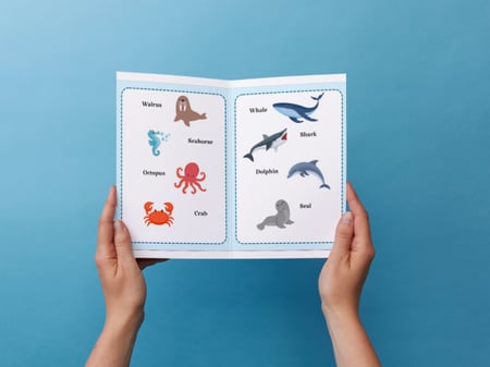 مطوية (Sea animals ) ثالث إبتدائي