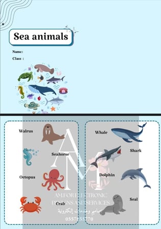 مطوية (Sea animals ) ثالث إبتدائي